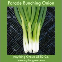 Onion - Parade Bunching - Organic
